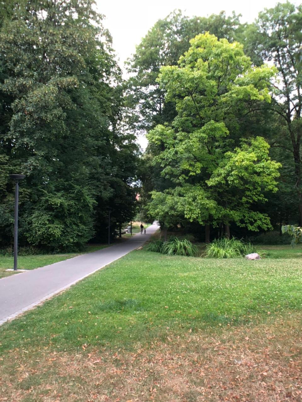 Hotel Bilger Eck Konstanz Exteriör bild
